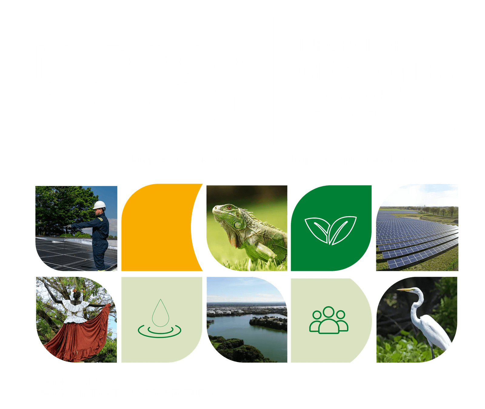 Portada del Informe de Gestión BIC 2025 de MADOCO